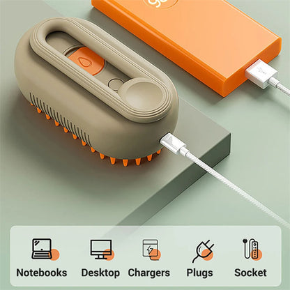 Cat Steam Brush 3 In 1 Electric Spray
